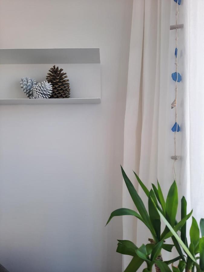 Sitius 5B - New Seaview Apartment With Rooftop Terrace In Historical Centre Sitio Da Nazare Nazaré Exterior foto